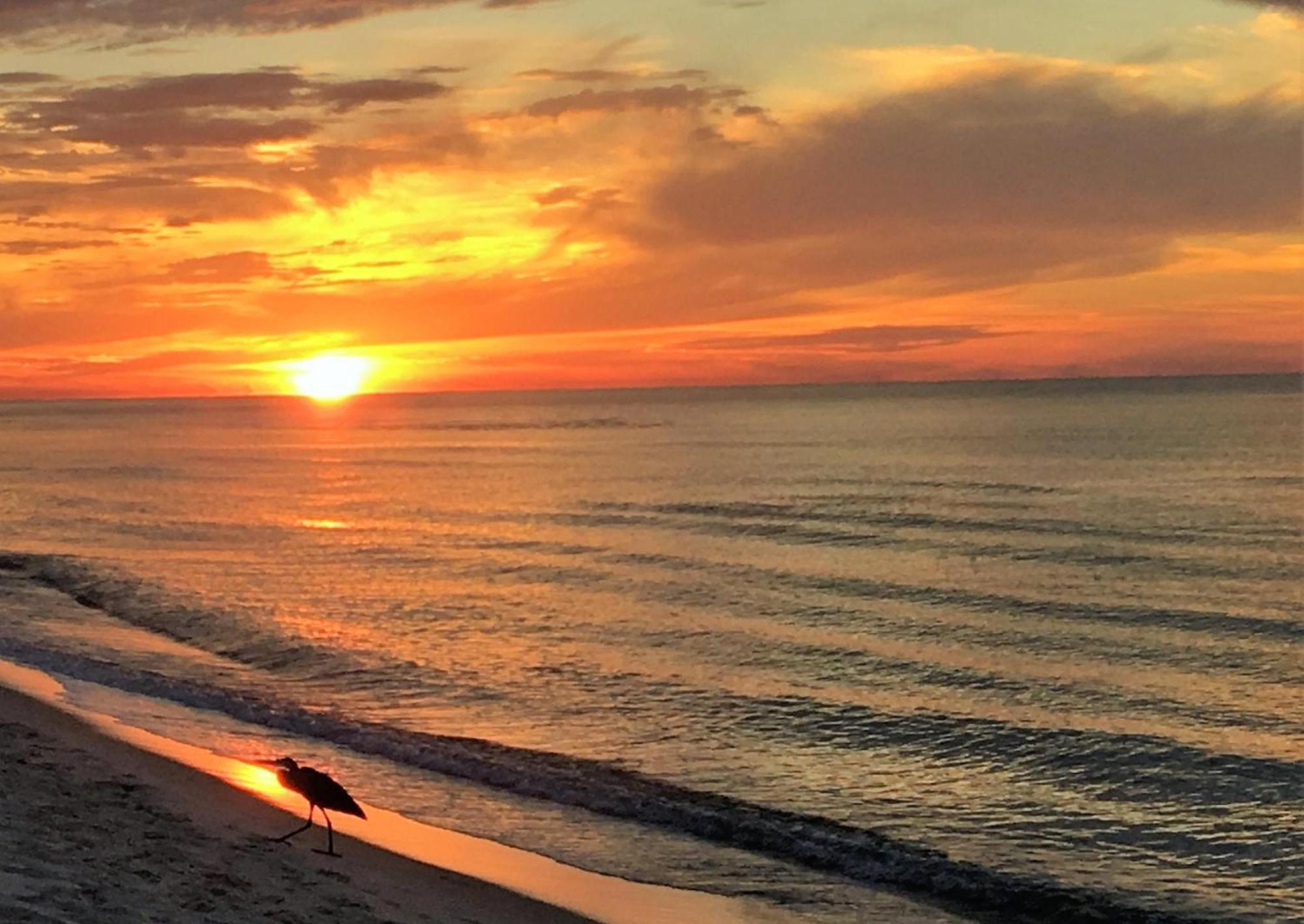 Seahorse 512 Βίλα Gulf Shores Εξωτερικό φωτογραφία