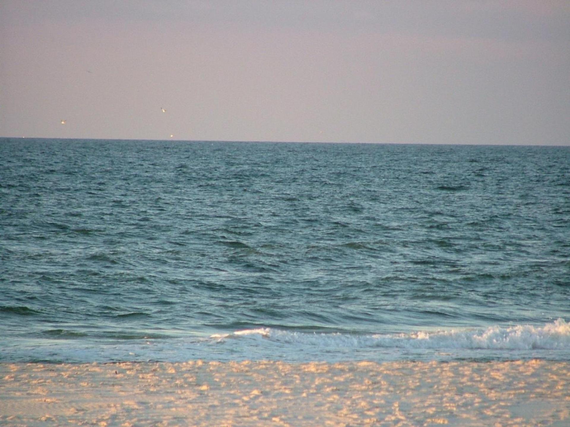 Seahorse 512 Βίλα Gulf Shores Εξωτερικό φωτογραφία