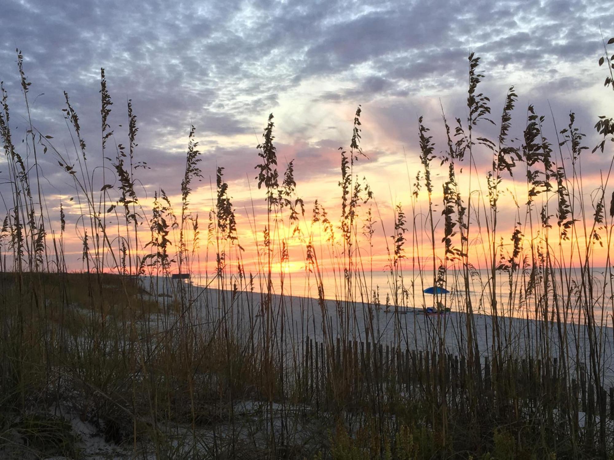 Seahorse 512 Βίλα Gulf Shores Εξωτερικό φωτογραφία