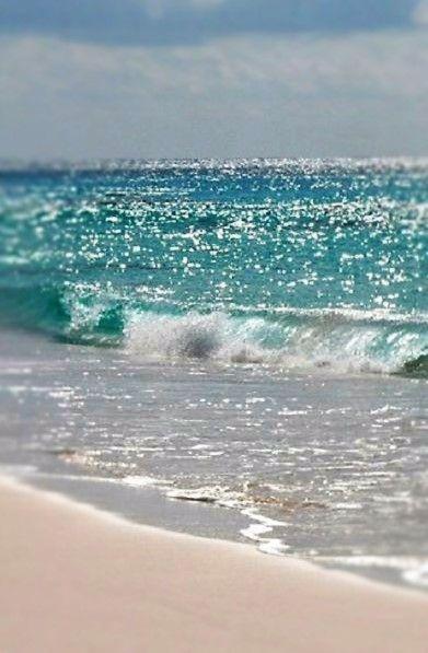 Seahorse 512 Βίλα Gulf Shores Εξωτερικό φωτογραφία